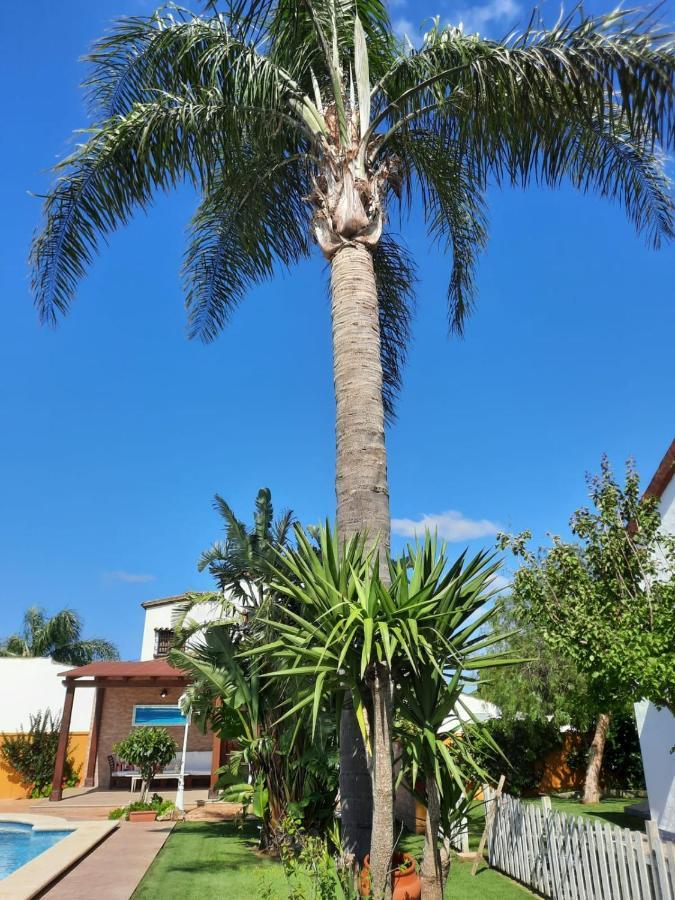 Chalet La Huerta Con Piscina Y Wifi Conil De La Frontera Zewnętrze zdjęcie