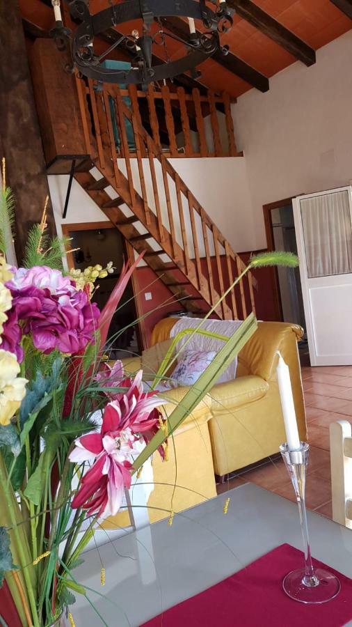 Chalet La Huerta Con Piscina Y Wifi Conil De La Frontera Zewnętrze zdjęcie