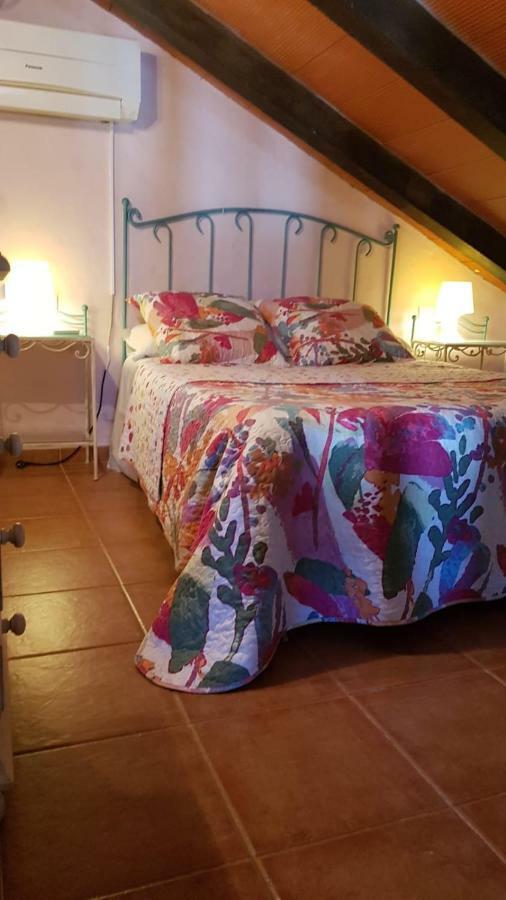 Chalet La Huerta Con Piscina Y Wifi Conil De La Frontera Zewnętrze zdjęcie